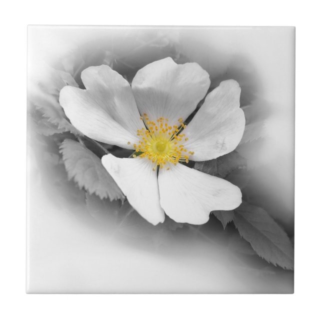 Azulejo De Cerâmica amarelo em tons de cinza (Frente)