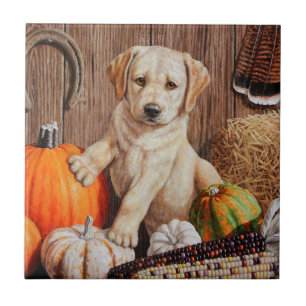 Azulejo De Cerâmica Amarelo Labrador Retriever Cachorro Cachorro Cacho