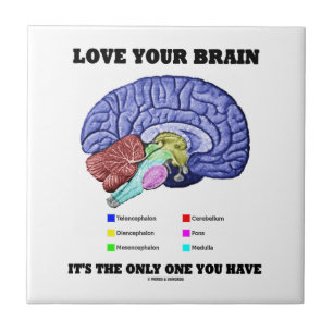 Azulejo De Cerâmica Ame seu cérebro que é único você tem (o cérebro)
