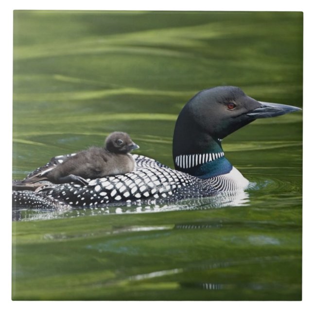 Azulejo De Cerâmica América do Norte, Canadá, Colúmbia Britânica, Lac  (Frente)