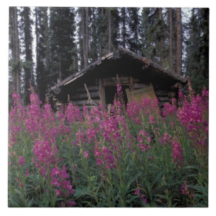Azulejo De Cerâmica América do Norte, Canadá, Yukon. Armadores abandon