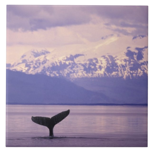 Azulejo De Cerâmica América do Norte, EUA, Alasca, Dentro Passage. (Frente)