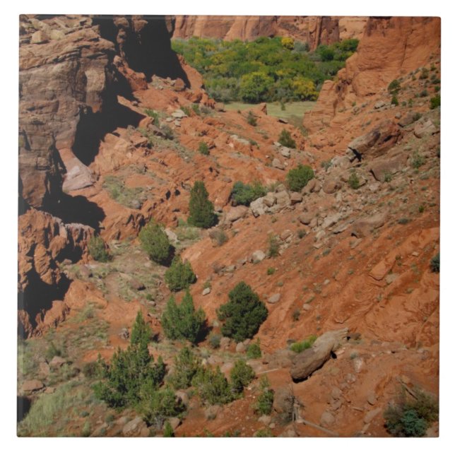 Azulejo De Cerâmica América do Norte, EUA, Arizona, índio Navajo (Frente)