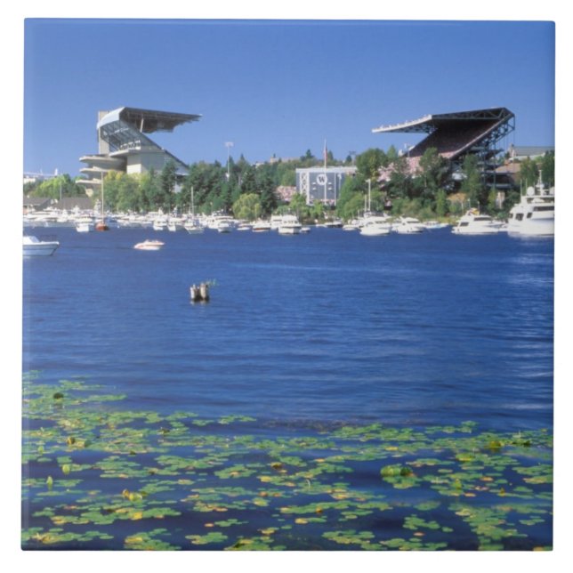 Azulejo De Cerâmica América do Norte, EUA, Estado de Washington, Seatt (Frente)