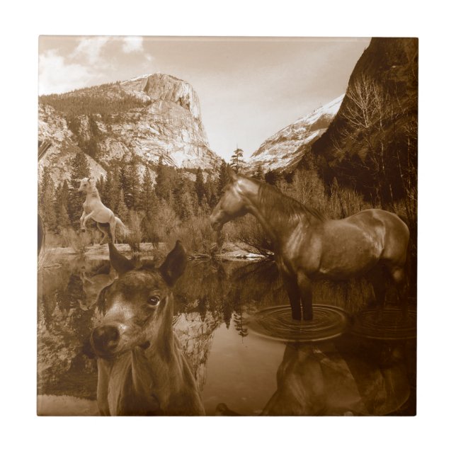 Azulejo De Cerâmica american (Frente)