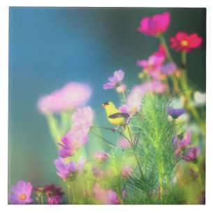 Azulejo De Cerâmica American Goldfinch e Coreopsis