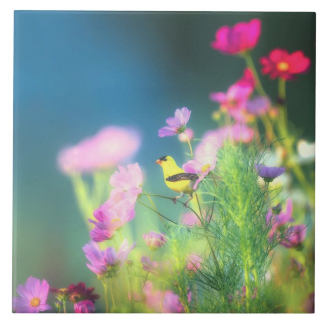 Azulejo De Cerâmica American Goldfinch e Coreopsis (Frente)