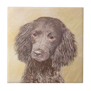 Azulejo De Cerâmica American Water Spaniel Painting - Arte Original de