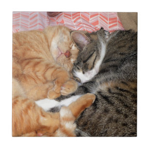 Azulejo De Cerâmica Amigos do Nap