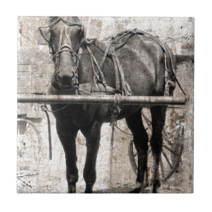 Azulejo De Cerâmica Amish cavalo grunge