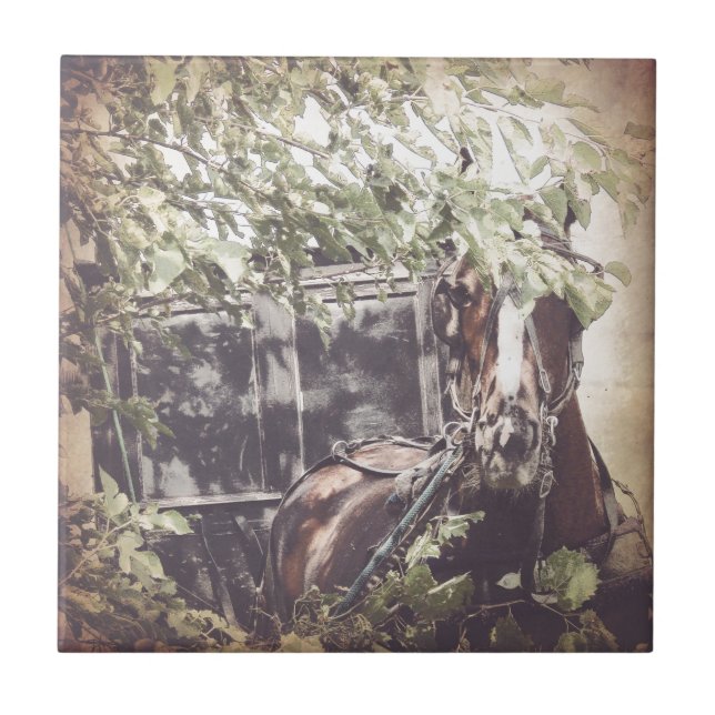 Azulejo De Cerâmica Amish Horse e Buggy na Sombra (Frente)