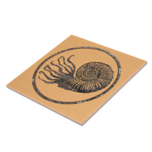 Azulejo de cerâmica ammonite fóssil