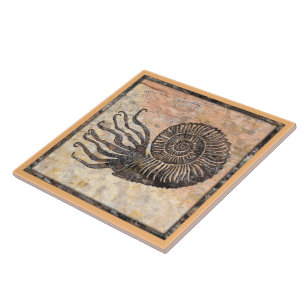 Azulejo de cerâmica ammonite fóssil