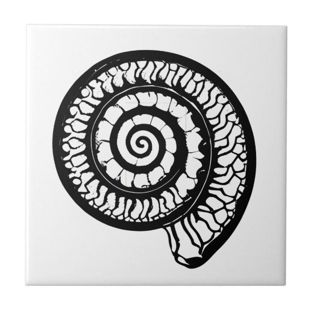 Azulejo De Cerâmica Ammonite Fóssil - Selo Espiral (Frente)