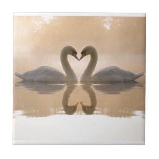 Azulejo De Cerâmica Amor da cisne