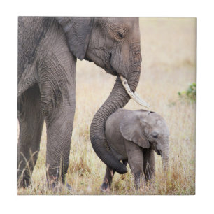 Azulejo De Cerâmica Amor maternal
