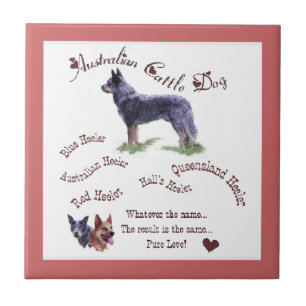 Azulejo De Cerâmica Amor Puro De Cão Australiano