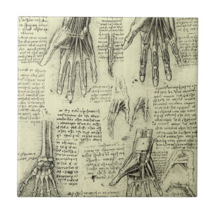 Azulejo De Cerâmica Anatomia da Mão Humana de Leonardo da Vinci