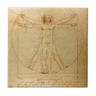 Azulejo De Cerâmica Anatomia humana, homem de Vitruvian por Leonardo