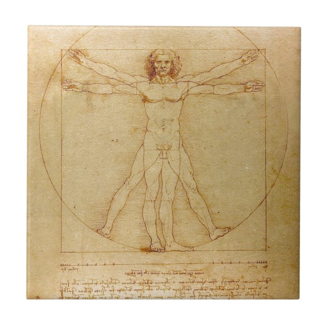 Azulejo De Cerâmica Anatomia humana, homem de Vitruvian por Leonardo (Frente)