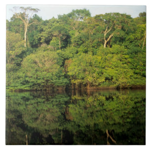 Azulejo De Cerâmica Anavilhanas, Amazonas, Brasil. Rio da floresta tro