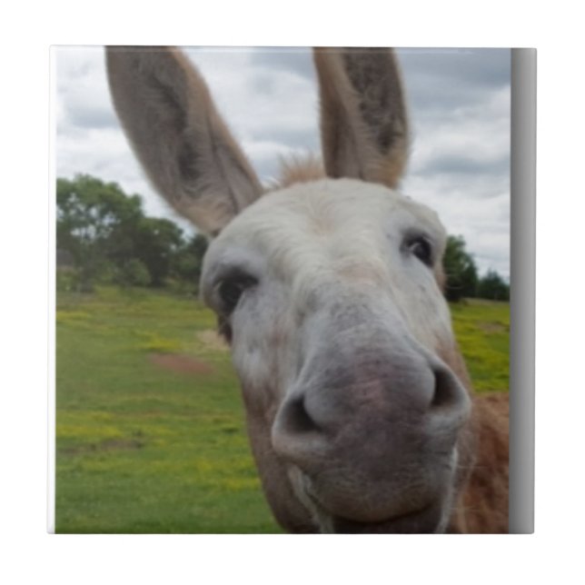 Azulejo De Cerâmica Andy (Frente)