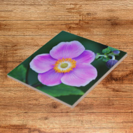 Azulejo De Cerâmica Anemone Floral, Rosa, Japonês