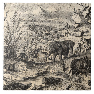 Azulejo De Cerâmica Animais animais africanos da ilustração dos 1800