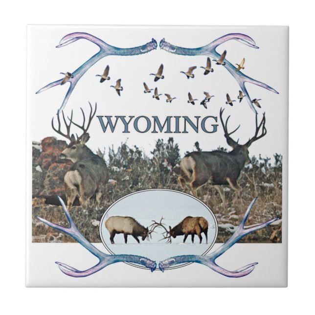 Azulejo De Cerâmica Animais selvagens de WYOMING (Frente)