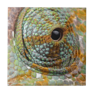 Azulejo De Cerâmica Animal do na moda da modificação do olho do