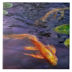 Azulejo De Cerâmica Animal - Peixe - Tem algo sobre carpas