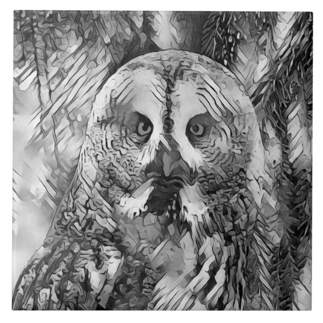 Azulejo De Cerâmica AnimalArtBW_Owl_001 (Frente)
