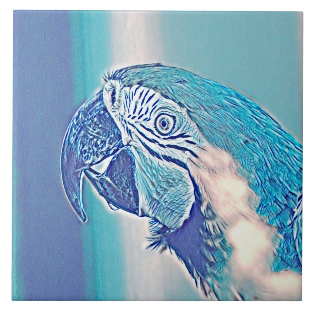 Azulejo De Cerâmica AnimalMix_Bird_009 (Frente)