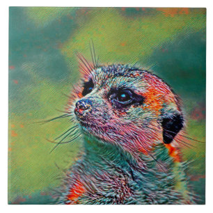 Azulejo De Cerâmica AnimalMix_Meerkat_009