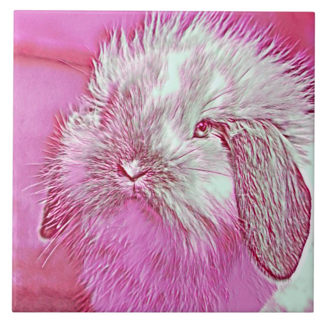 Azulejo De Cerâmica AnimalMix_Rabbit_008 (Frente)