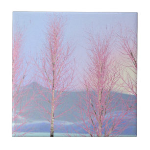 Azulejo De Cerâmica Aniversário do Creme de framboesa