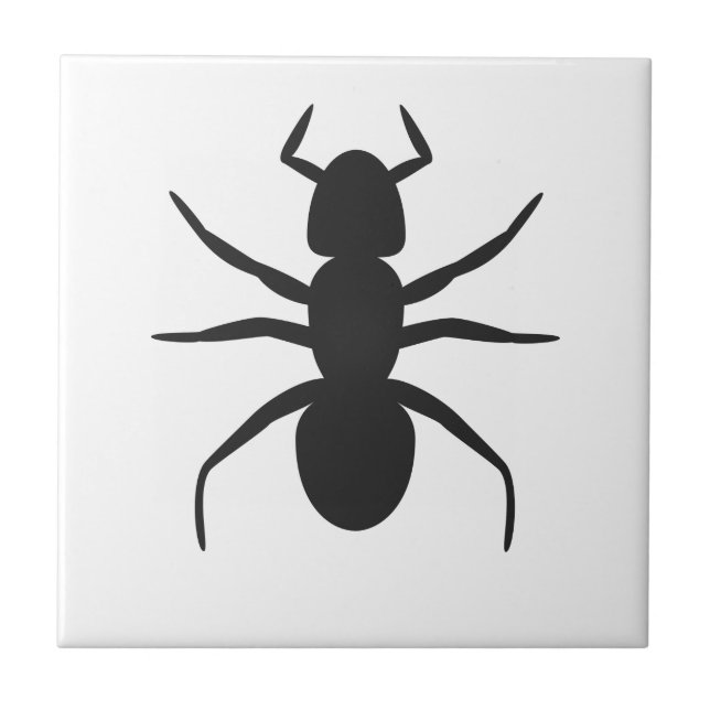 Azulejo De Cerâmica Ant (Frente)