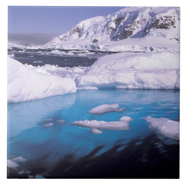 Azulejo De Cerâmica Antártica. Expedição através de fugas de gelo 2 (Frente)