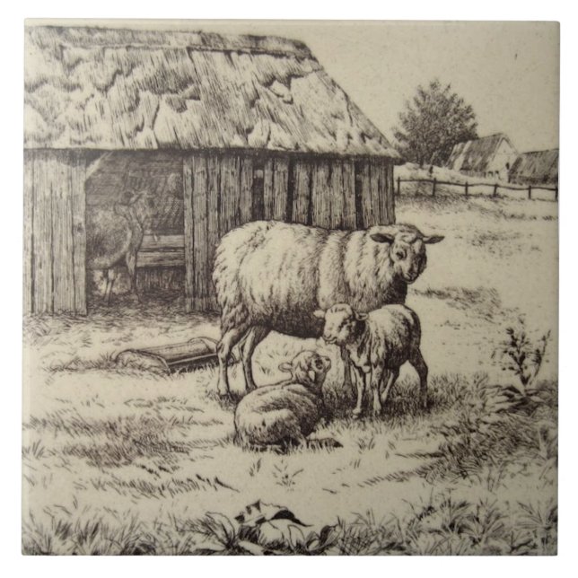 Azulejo De Cerâmica Antiguidade Repro William Wise Sheep Family Sepia (Frente)