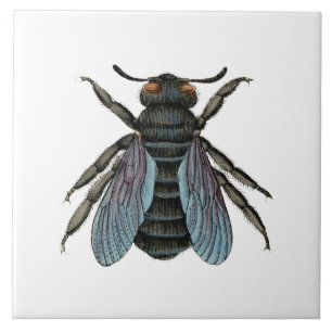 Azulejo De Cerâmica Antiguidade Típica De Abelhas Vintage Arte De Abel