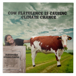 AZULEJO DE CERÂMICA  AOC-CLIMATE CHANGE*