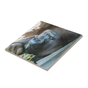 Azulejo De Cerâmica Ape hood ~ Japonês Gorilla Eating