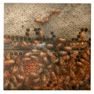 Azulejo De Cerâmica Apiário - Abelhas - Doce sucesso