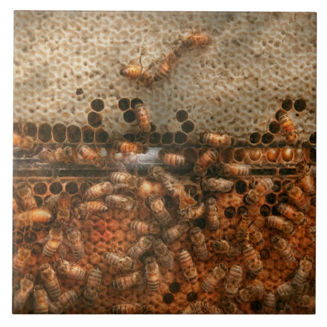 Azulejo De Cerâmica Apiário - Abelhas - Doce sucesso (Frente)