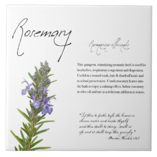 Azulejo De Cerâmica Apothecary Herbal: Rosemary   Azulejo botânico