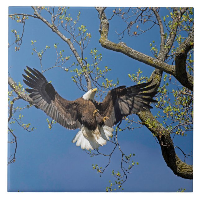 Azulejo De Cerâmica Aproximação de aterrissagem (Frente)
