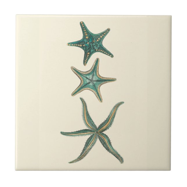 Azulejo De Cerâmica Aquamarine Triple Starfish (Frente)