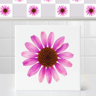 Azulejo De Cerâmica Aquarela Flores de Echinacea Violeta