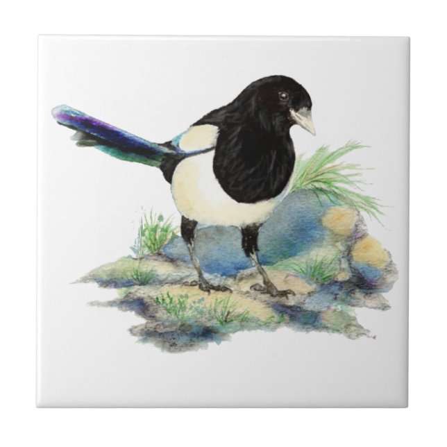 Azulejo De Cerâmica Aquarela Magpie Bird Willife Art (Frente)