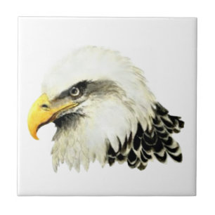 Azulejo De Cerâmica Aquarelas Bald Bird Willife Art